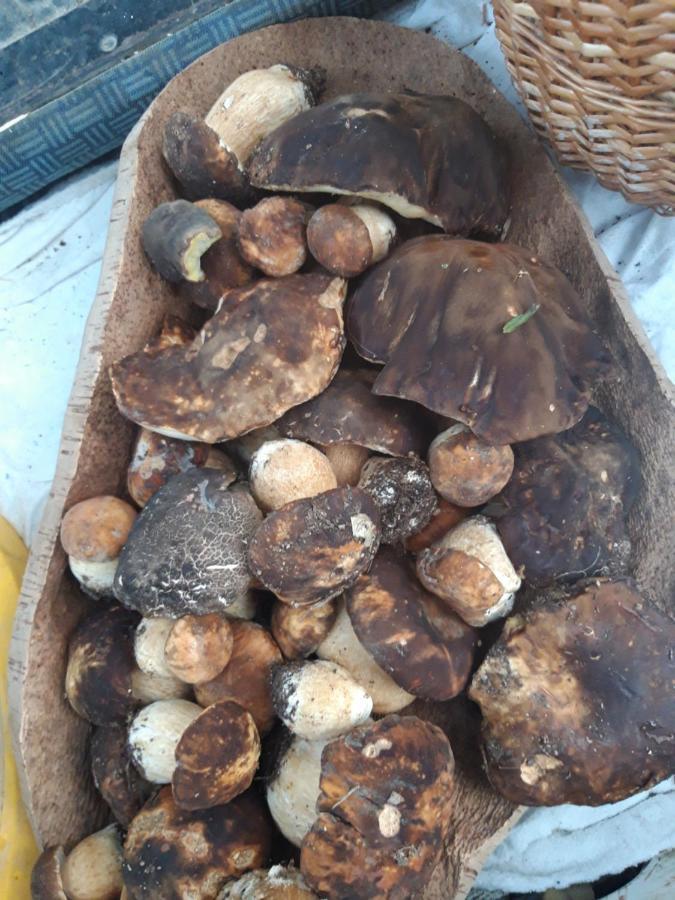 Fumu Ludurru Farm Stay Padru Zewnętrze zdjęcie