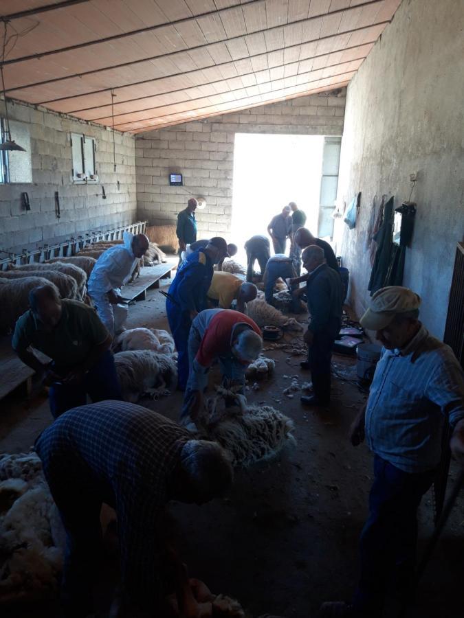 Fumu Ludurru Farm Stay Padru Zewnętrze zdjęcie
