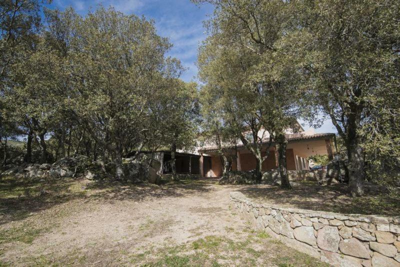 Fumu Ludurru Farm Stay Padru Zewnętrze zdjęcie